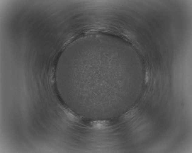 X0000067890273200604131336