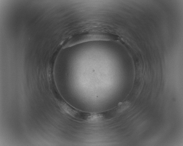 X0000067890274200604131336