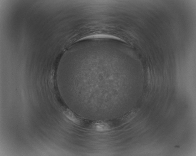 X0000067890275200604131336