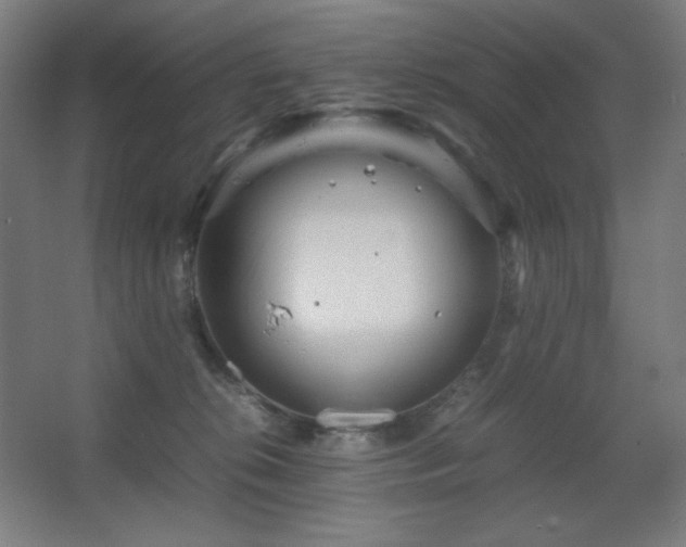 X0000067890276200604131336