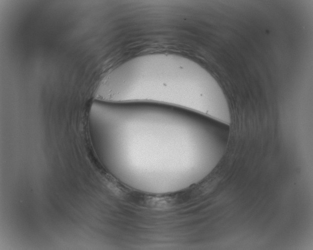 X0000067890277200604131336