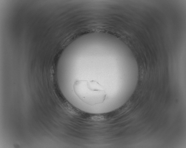 X0000067890279200604131336