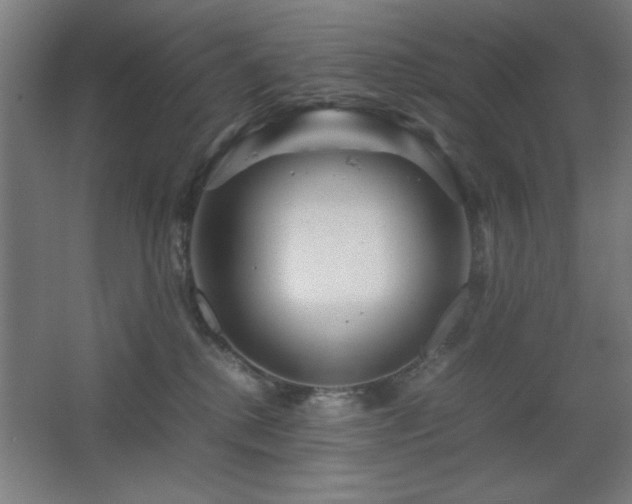 X0000067890280200604131336