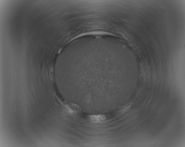 X0000067890281200604131336