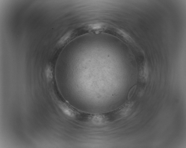 X0000067890282200604131336