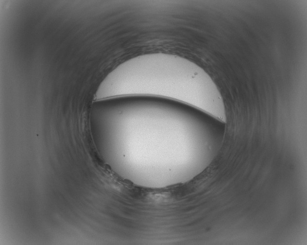 X0000067890283200604131336