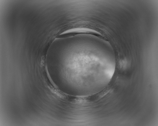 X0000067890284200604131336