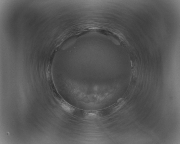 X0000067890285200604131336