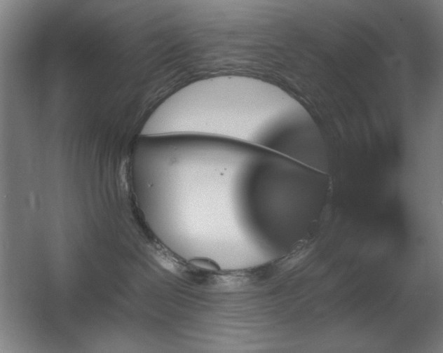 X0000067890286200604131336