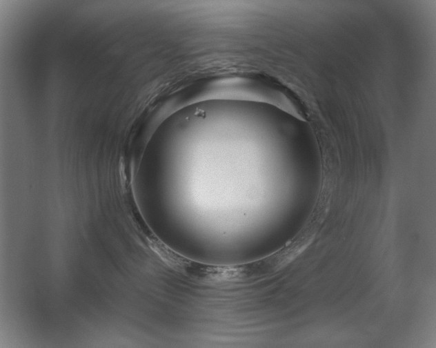 X0000067890288200604131336