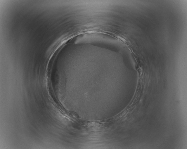 X0000067890290200604131335