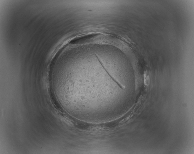 X0000067890291200604131335