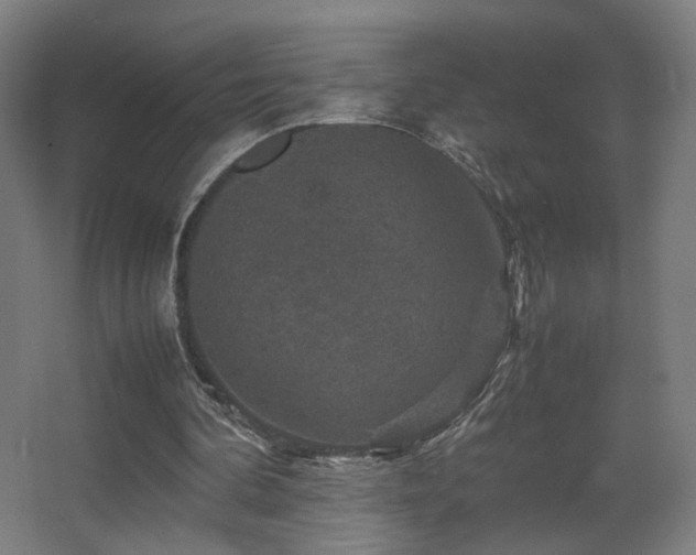 X0000067890292200604131335