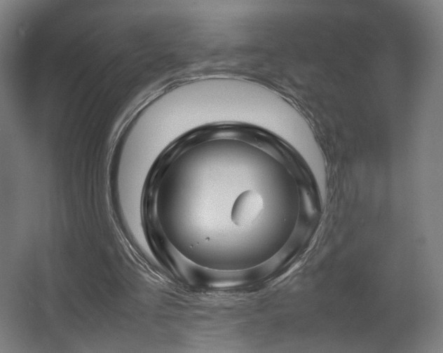 X0000067890293200604131335