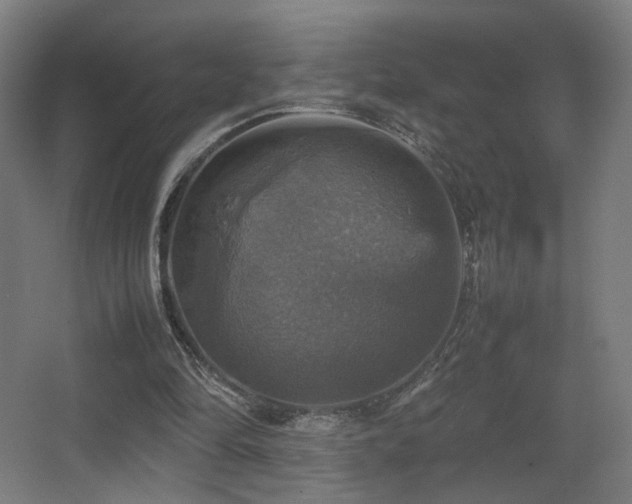 X0000067890294200604131335