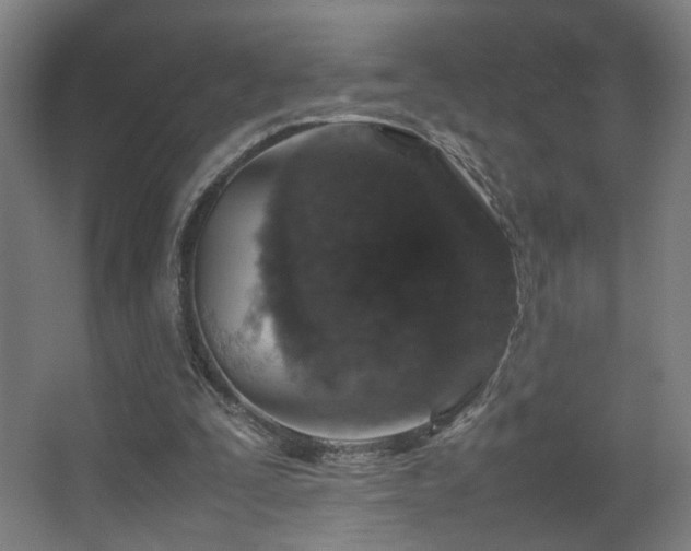 X0000067890295200604131335