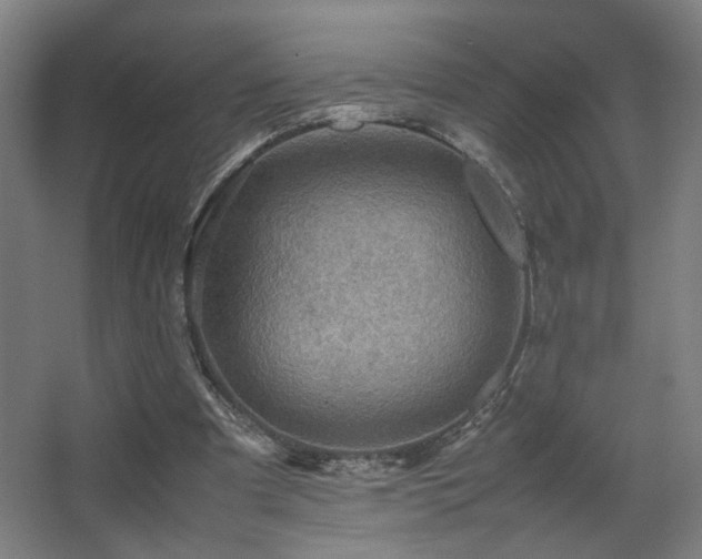 X0000067890297200604131335