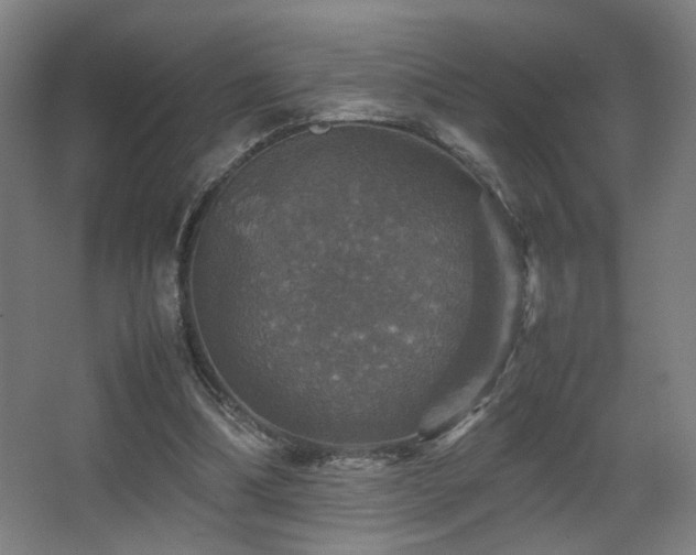 X0000067890298200604131335