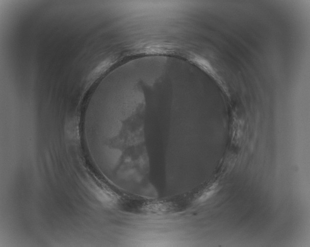 X0000067890299200604131335