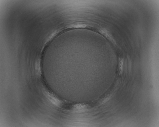 X0000067890300200604131335