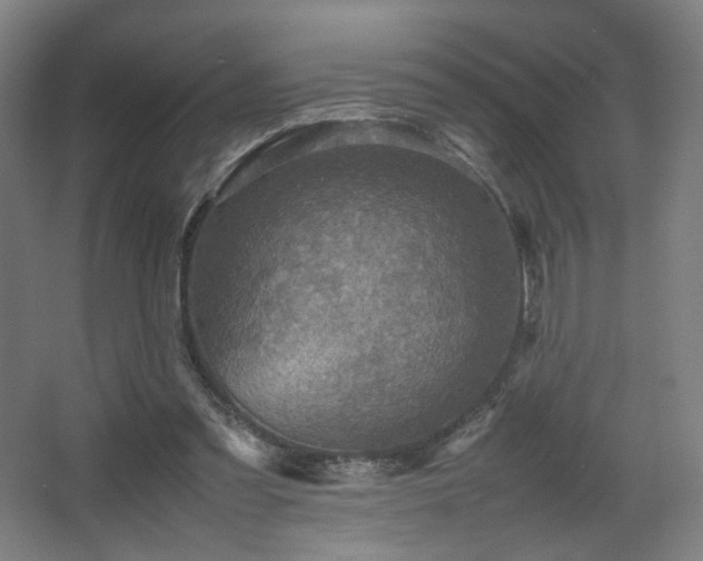 X0000067890301200604131335