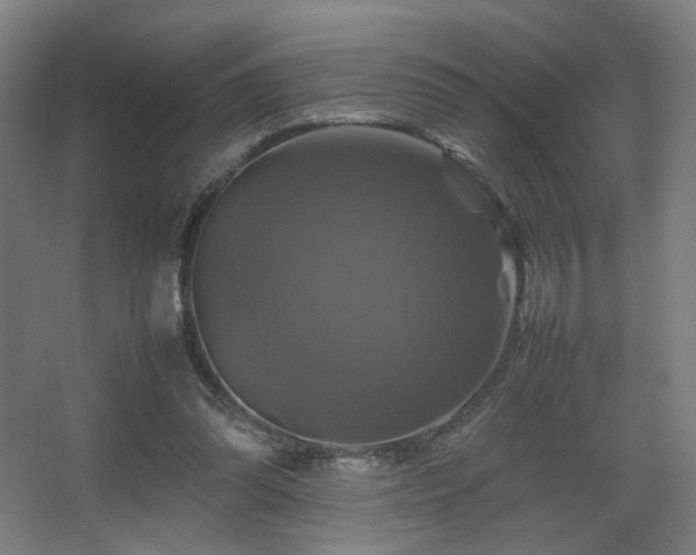 X0000067890302200604131335