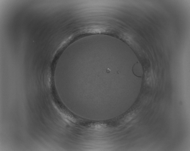 X0000067890304200604131335