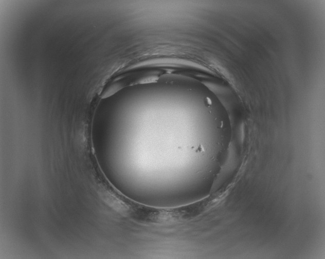 X0000067890305200604131335