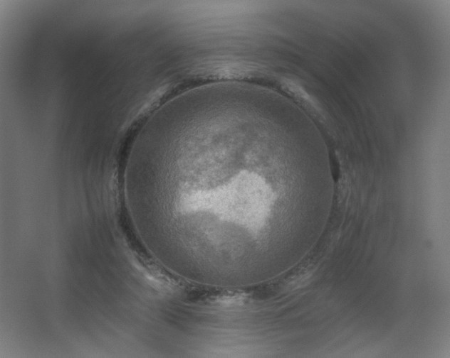 X0000067890306200604131335