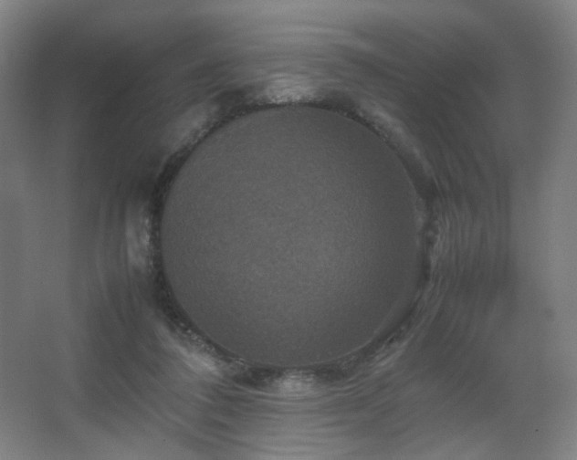 X0000067890308200604131335