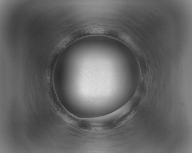 X0000067890309200604131335