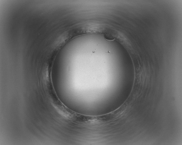 X0000067890310200604131335