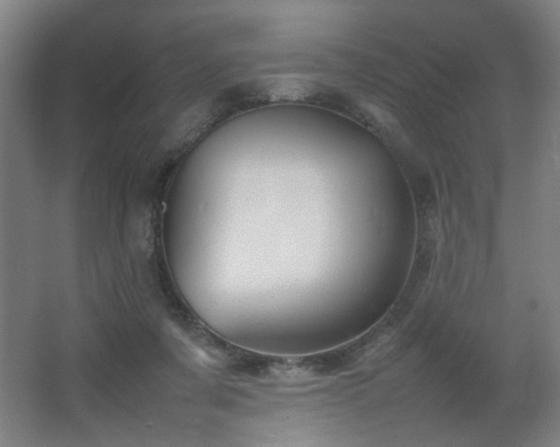 X0000067890311200604131335