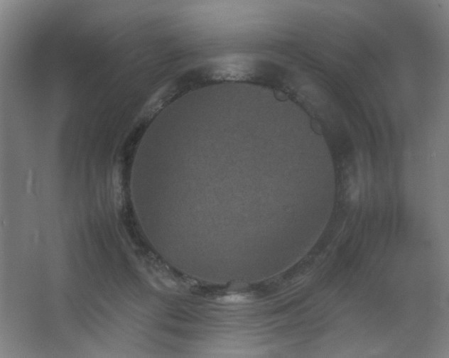 X0000067890312200604131335