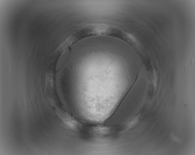 X0000067890313200604131335