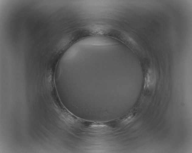 X0000067890314200604131335