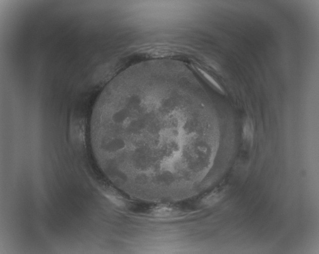 X0000067890315200604131335