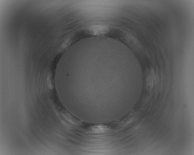 X0000067890316200604131335