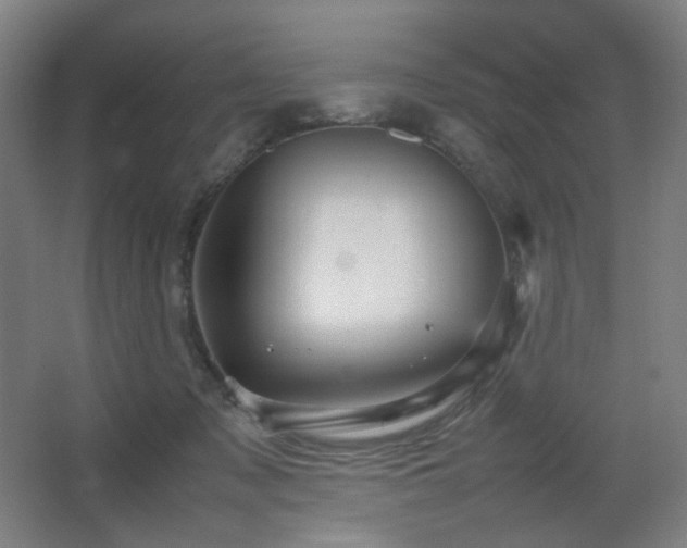 X0000067890317200604131335