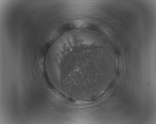 X0000067890319200604131335