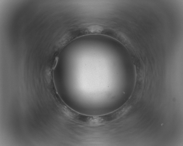 X0000067890321200604131335