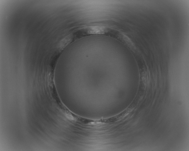 X0000067890322200604131335