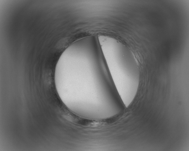 X0000067890323200604131335