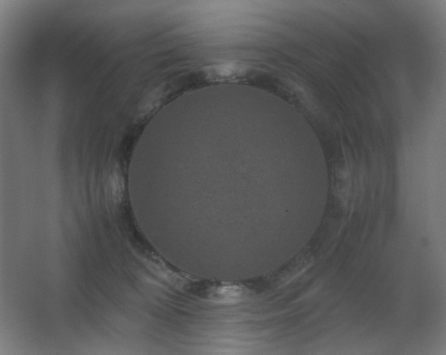 X0000067890324200604131335