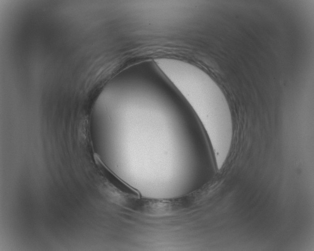 X0000067890325200604131335