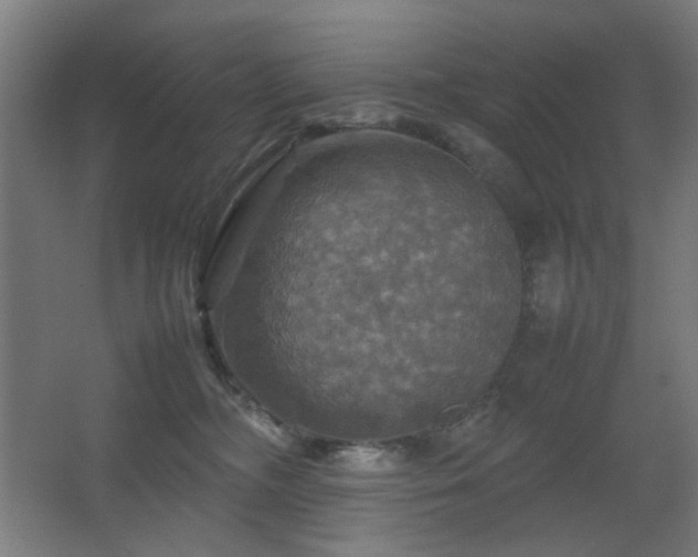 X0000067890326200604131335