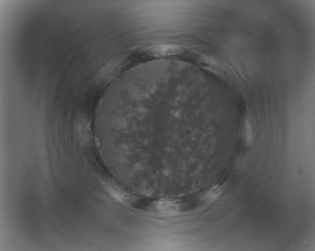 X0000067890327200604131335