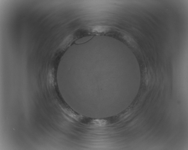 X0000067890328200604131335