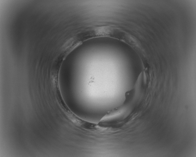 X0000067890329200604131335