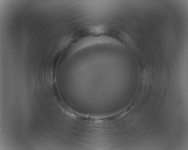 X0000067890330200604131335